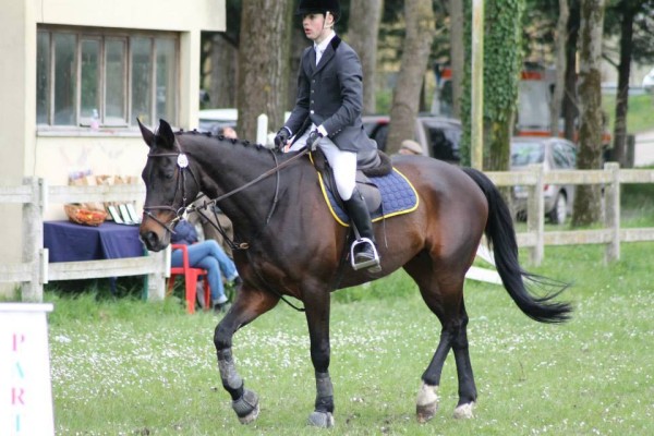 COMPLETO INTERNAZIONALE CCI1* – Ravenna.