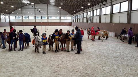 Pony Games : 28 febbraio 2016 Mogliano