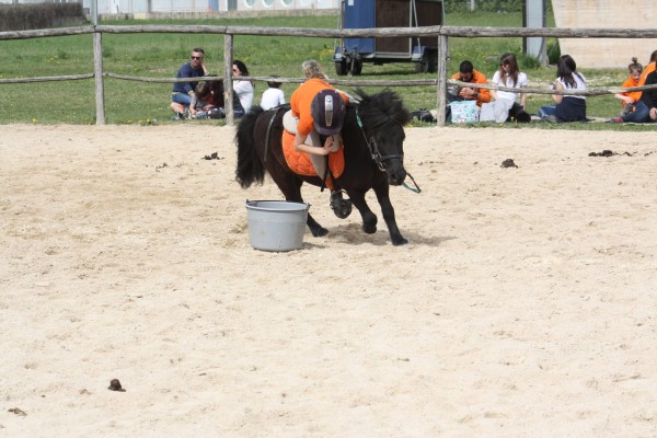 Mattinata con il Pony OGNI SABATO si riparte !!!!