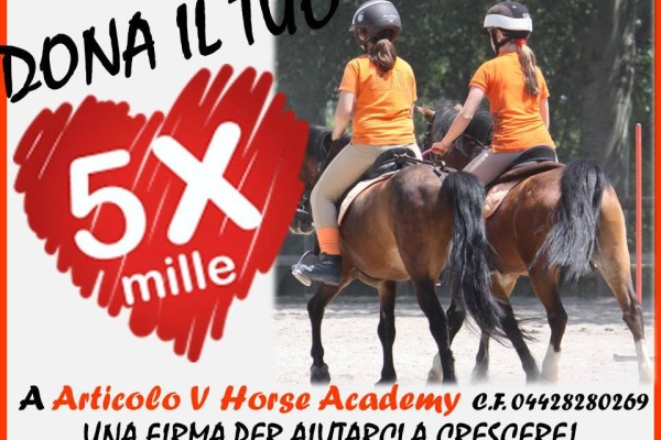 5 x 1000 Articolo V Horse Academy