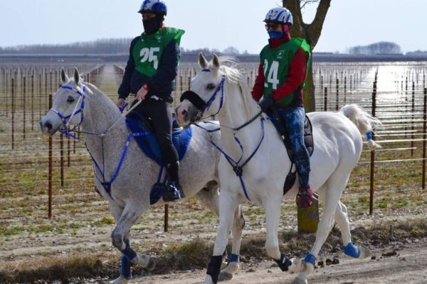 Endurance Talmassons (UD) 25 febbraio 2018