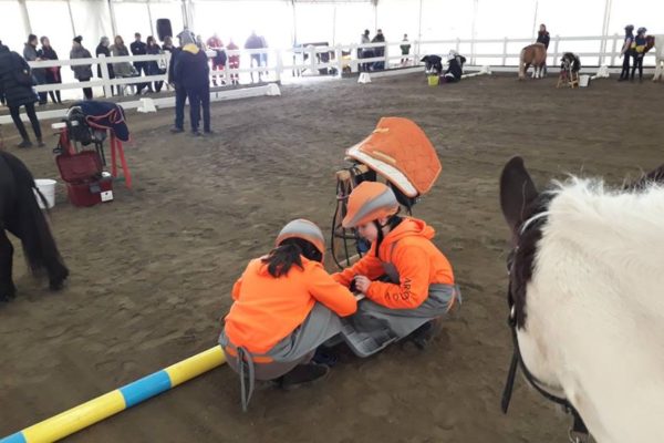 Pony Day Villa Bassi -18 marzo 2018