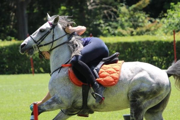 Campionati Italiani Mounted Games Pontedera