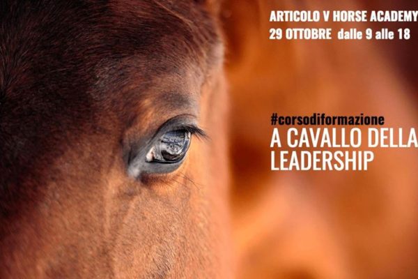 A Cavallo della Leaderschip-corso 29 ottobre -dalle ore 9.00 alle ore 18.00