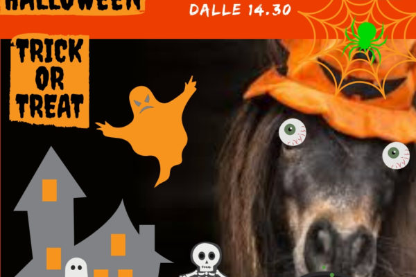 Halloween-Scherzetto o dolcetto 3 novembre dalle 14.30