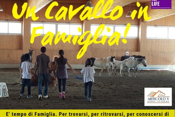 Training for life: Un cavallo in famiglia.