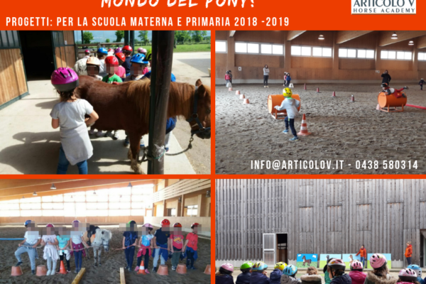 Progetti per la scuola materna e primaria  2018-2019