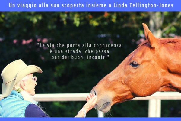 Linda Tellington_Jones all’Articolo V Horse Academy