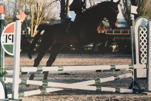 Salto Ostacoli: 29 -30-31 marzo 2019 Centro Ippico il Cristallo