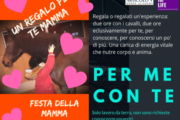 Festa della mamma !! 12 maggio 2019