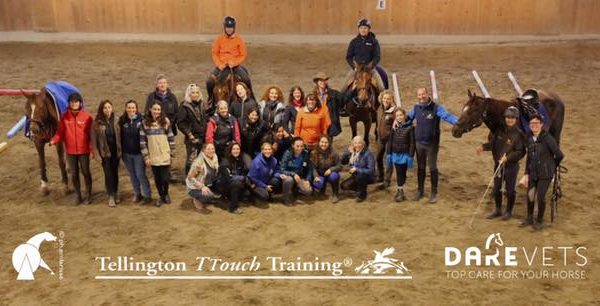 Tellington TTouch all’Articolo V Horse Academy 27-29 aprile 2019