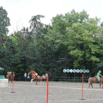 Ponymania -Cervia 25-27 aprile 2014