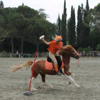 Ponymania -Cervia 25-27 aprile 2014