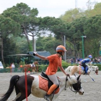 Ponymania -Cervia 25-27 aprile 2014