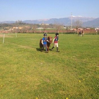 Domenica 30 marzo - Allenamento speciale Endurance Pony 