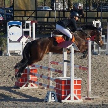 C.I. Cristallo - Salto ostacoli