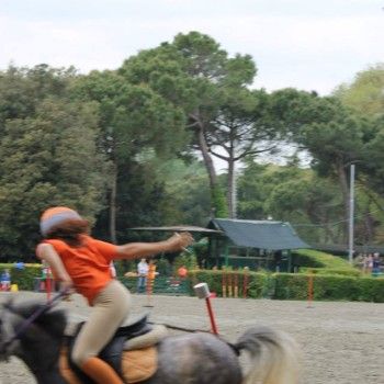 Ponymania -Cervia 25-27 aprile 2014