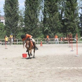  Pony Games - Rovigo - 18 Maggio 2014