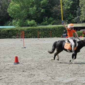 Ponymania -Cervia 25-27 aprile 2014