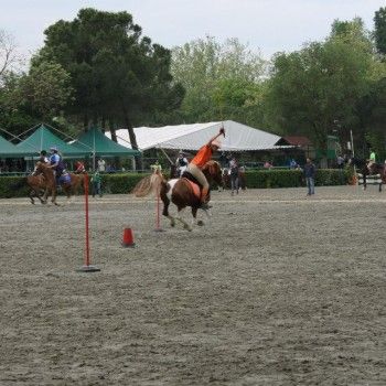Ponymania -Cervia 25-27 aprile 2014