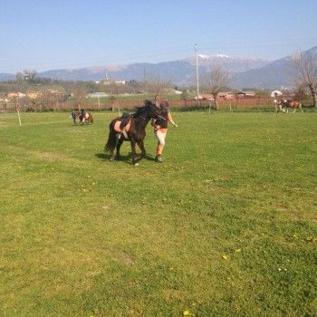 Domenica 30 marzo - Allenamento speciale Endurance Pony 