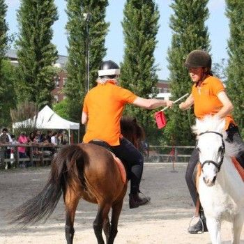  Pony Games - Rovigo - 18 Maggio 2014