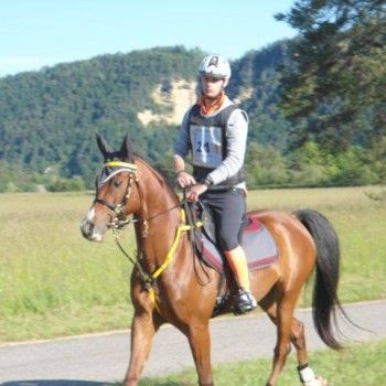 Endurance - Ferlach, Austria - 31 maggio 2014