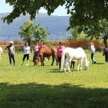 Domenica 4 maggio - Progetto genitori 