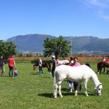 Domenica 4 maggio - Progetto genitori 
