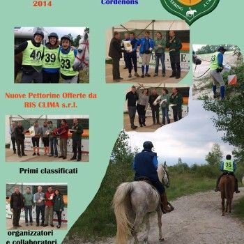 ORIENTAMENTO - CORDENONS - 18 MAGGIO 2014