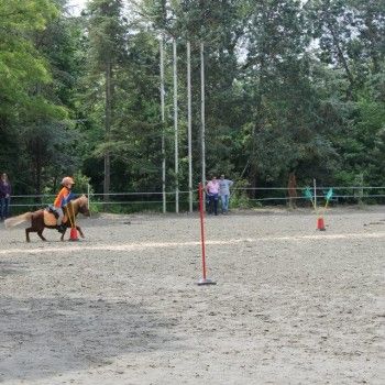 Ponymania -Cervia 25-27 aprile 2014