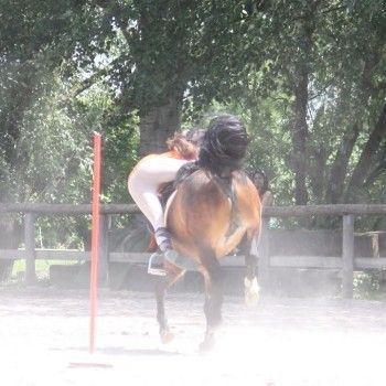  Pony Games - Rovigo - 18 Maggio 2014