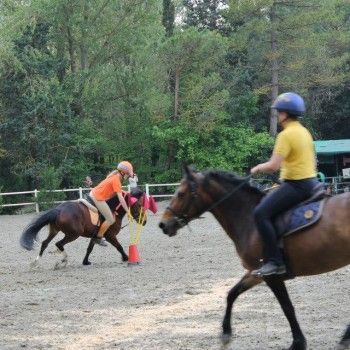 Ponymania -Cervia 25-27 aprile 2014
