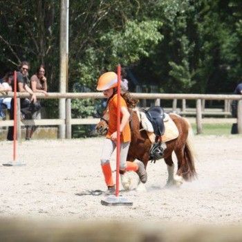  Pony Games - Rovigo - 18 Maggio 2014