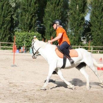  Pony Games - Rovigo - 18 Maggio 2014