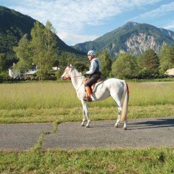 Endurance - Ferlach, Austria - 31 maggio 2014