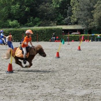 Ponymania -Cervia 25-27 aprile 2014