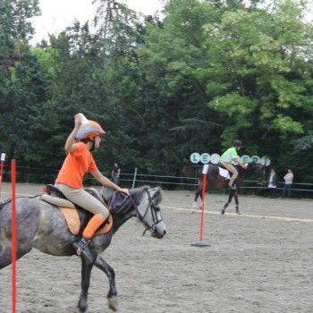 Ponymania -Cervia 25-27 aprile 2014