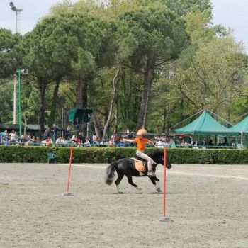 Ponymania -Cervia 25-27 aprile 2014