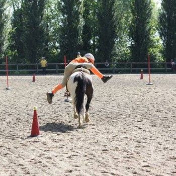  Pony Games - Rovigo - 18 Maggio 2014