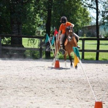  Pony Games - Rovigo - 18 Maggio 2014