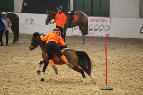 Pony Games - Trofeo 4 Regioni -Vermezzo (MI) 11-13 marzo 2016
