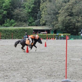 Ponymania -Cervia 25-27 aprile 2014