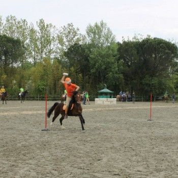 Ponymania -Cervia 25-27 aprile 2014