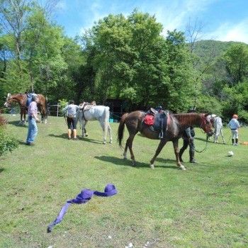 Domenica 4 maggio - In campagna !!!!!!