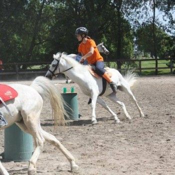  Pony Games - Rovigo - 18 Maggio 2014