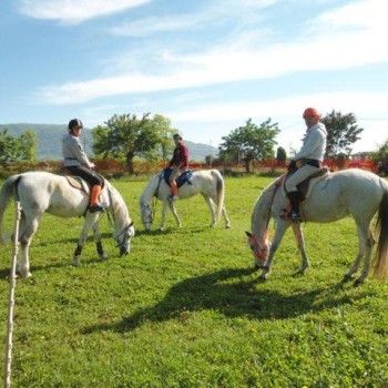 Domenica 4 maggio - In campagna !!!!!!