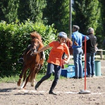  Pony Games - Rovigo - 18 Maggio 2014