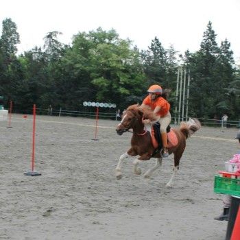 Ponymania -Cervia 25-27 aprile 2014