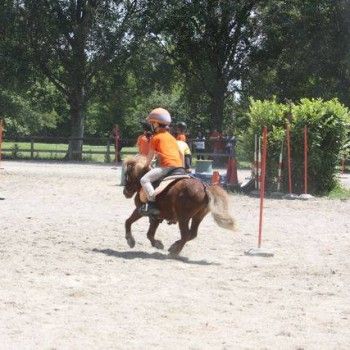  Pony Games - Rovigo - 18 Maggio 2014
